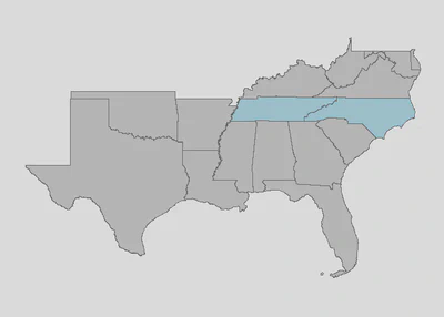 Jordan's Red Cheeked Salamander