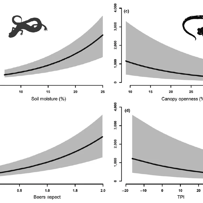 Environmental gradients in old‐growth Appalachian forest predict fine‐scale distribution, co‐occurrence, and density of woodland salamanders