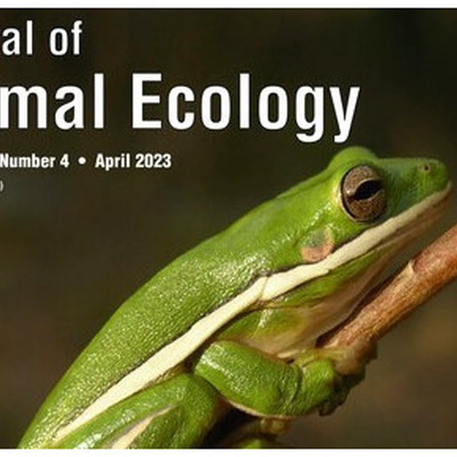 Experimental evaluation of how biological invasions and climate change interact to alter the vertical assembly of an amphibian community