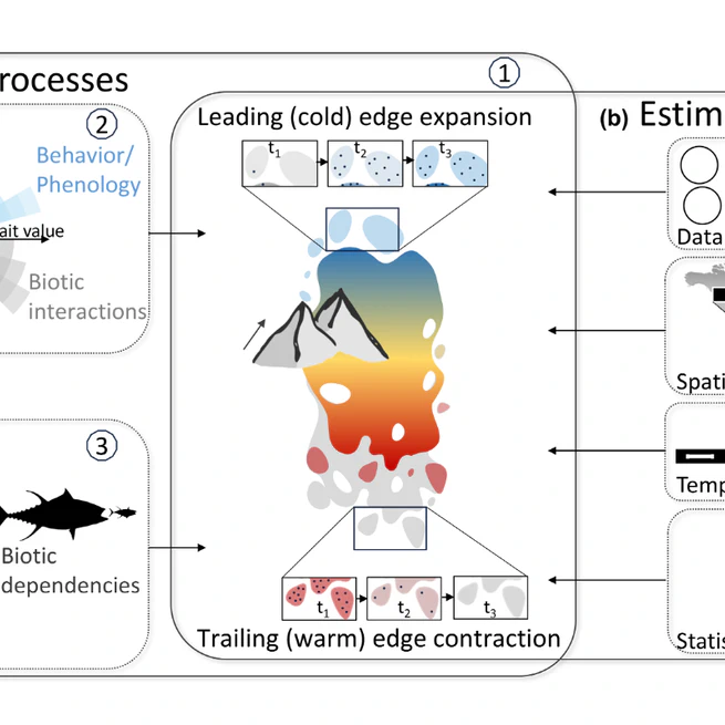 Bringing traits back into the equation, A roadmap to understand species redistribution