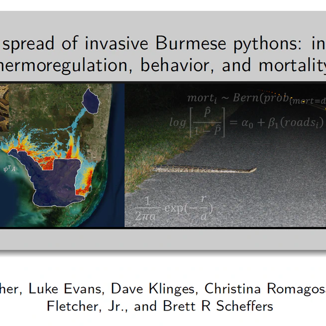 Modeling spread of invasive Burmese pythons, integrating thermoregulation, behavior, and mortality