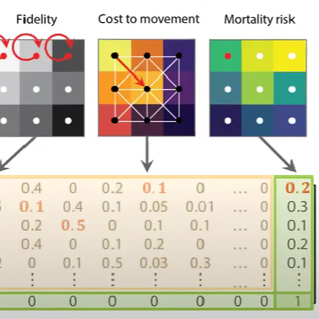 Expanding the scope of connectivity modeling with Markov chains: perspectives and applications in R